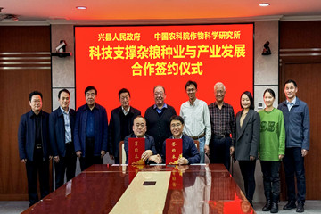 ����ũ��Ц�ˡ���