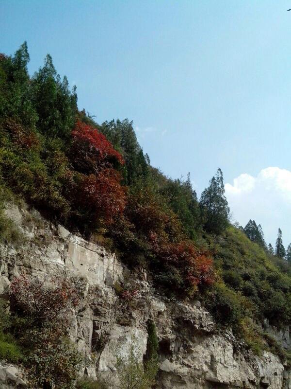 尖草坪区——崛围山